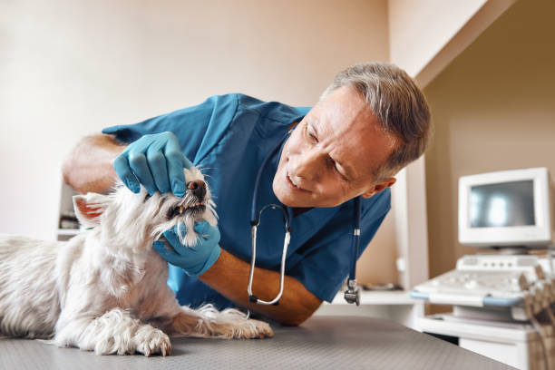 Best Emergency Tooth Extraction in Indian Hills, KY